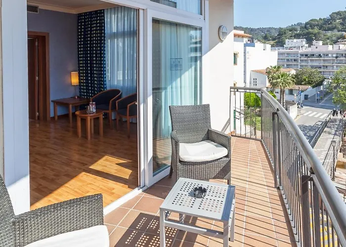 Delfin 4 Sup Tossa de Mar