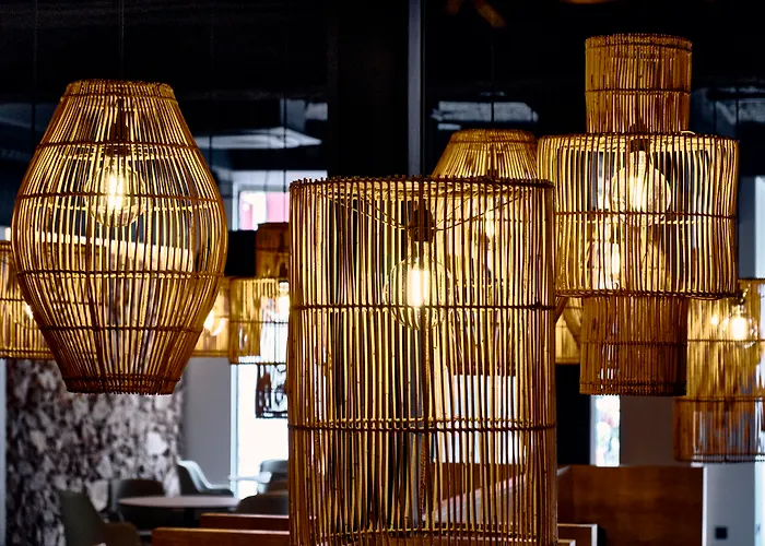 Delfin 4 Sup Tossa de Mar