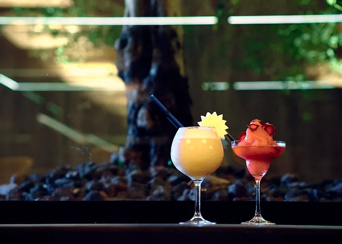 Hotel Delfin 4 Sup Tossa de Mar