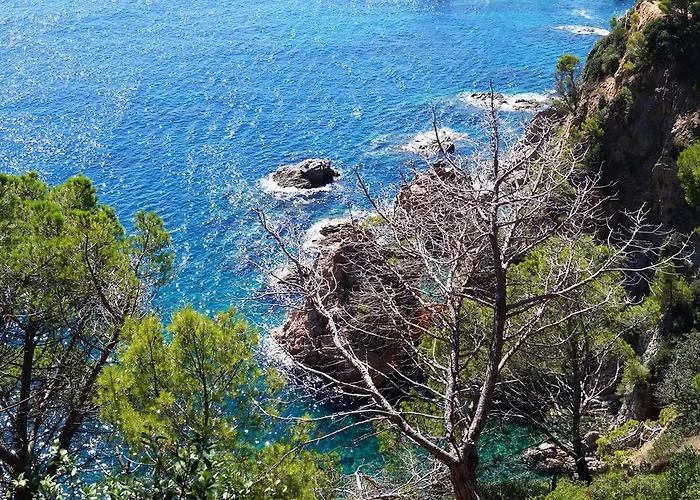 Delfin 4 Sup Hotell Tossa de Mar