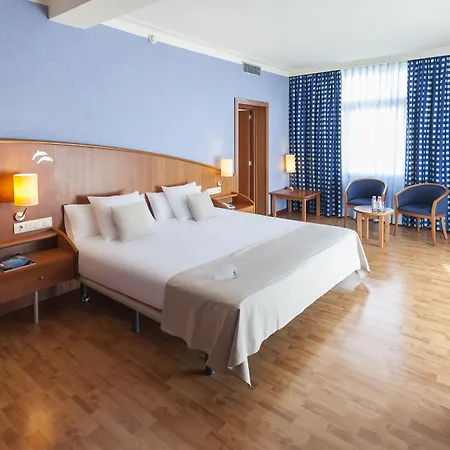 Delfín Tossa de Mar